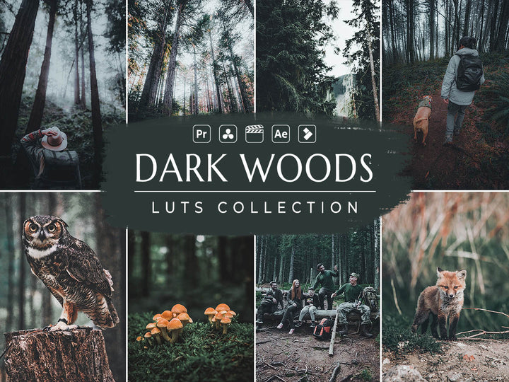 Dark Woods Video LUTs | Pixmellow