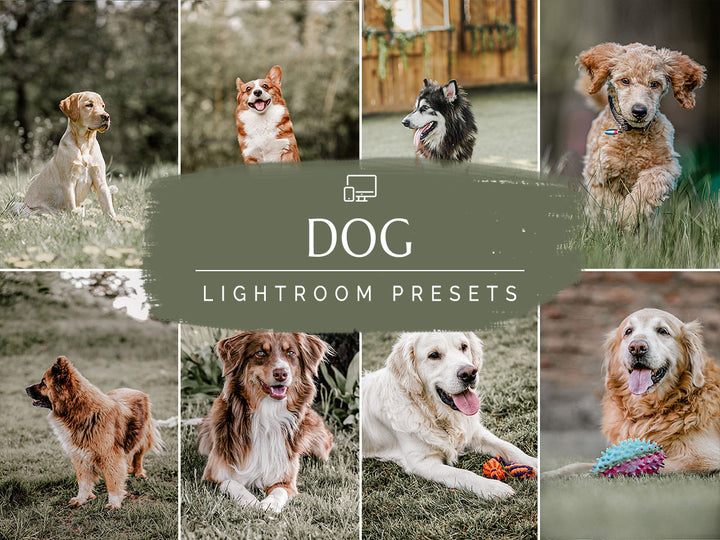 Dog Lightroom Presets for Mobile and Desktop