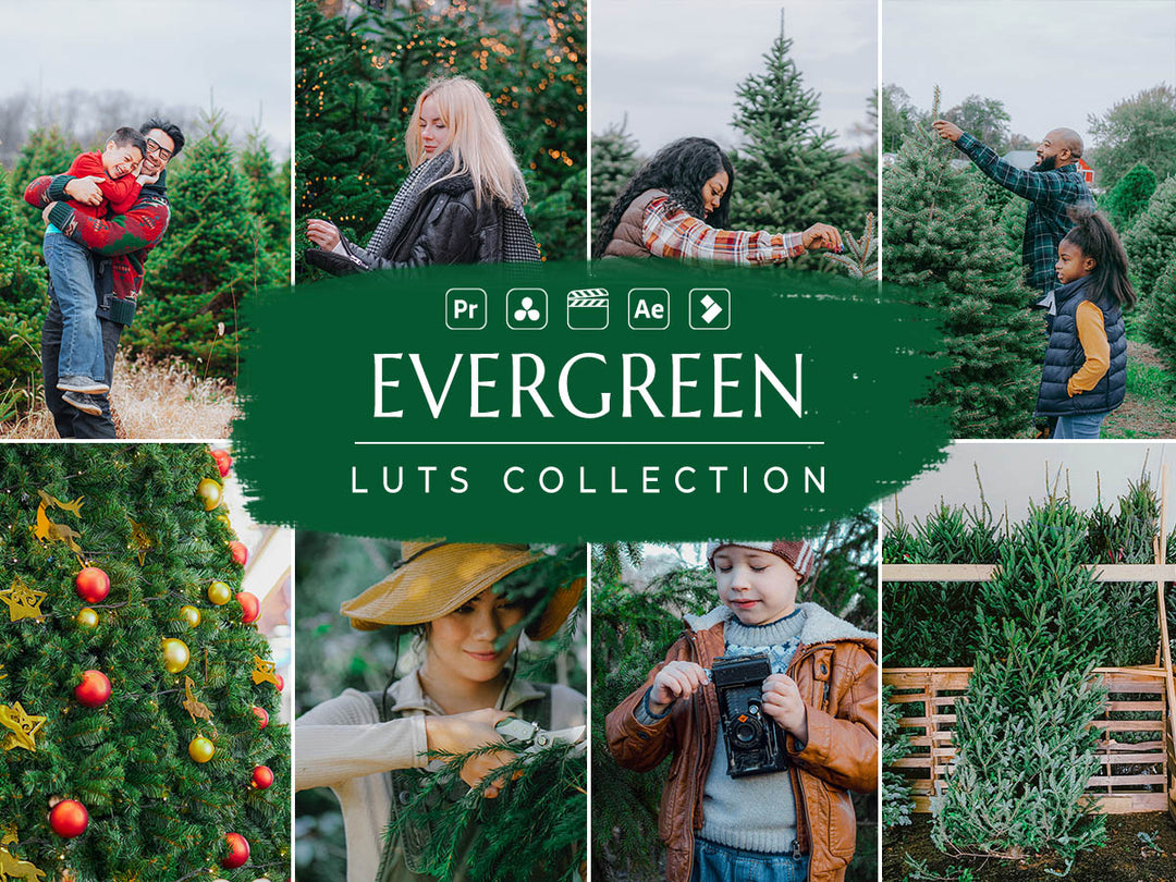 Evergreen Video LUTs | Pixmellow