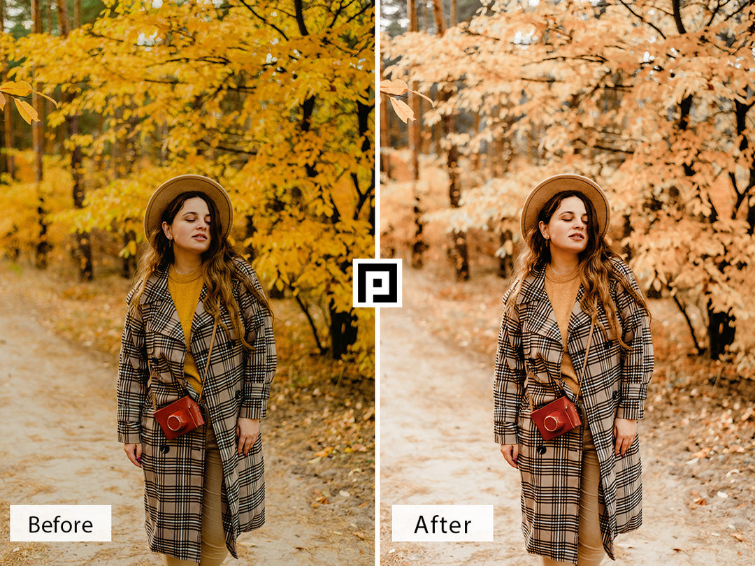 Golden Autumn Lightroom Mobile and Desktop Presets