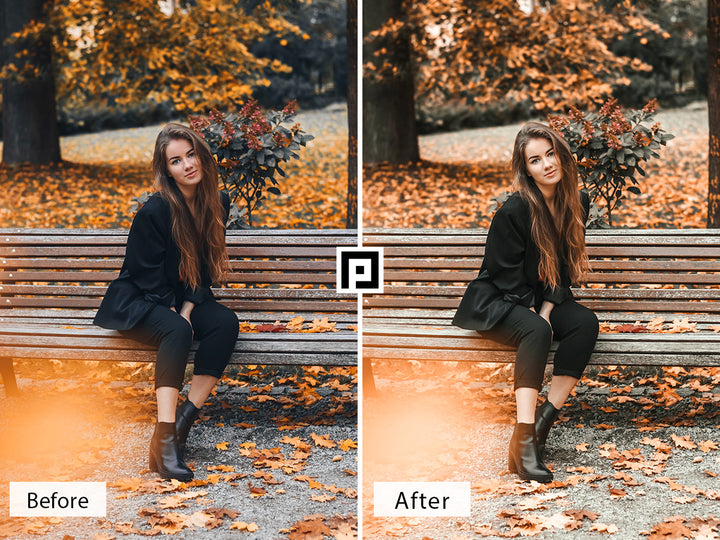 Golden Autumn Lightroom Mobile and Desktop Presets