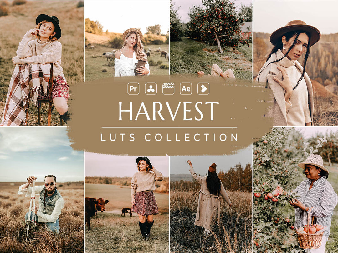 Harvest Video LUTs | Pixmellow