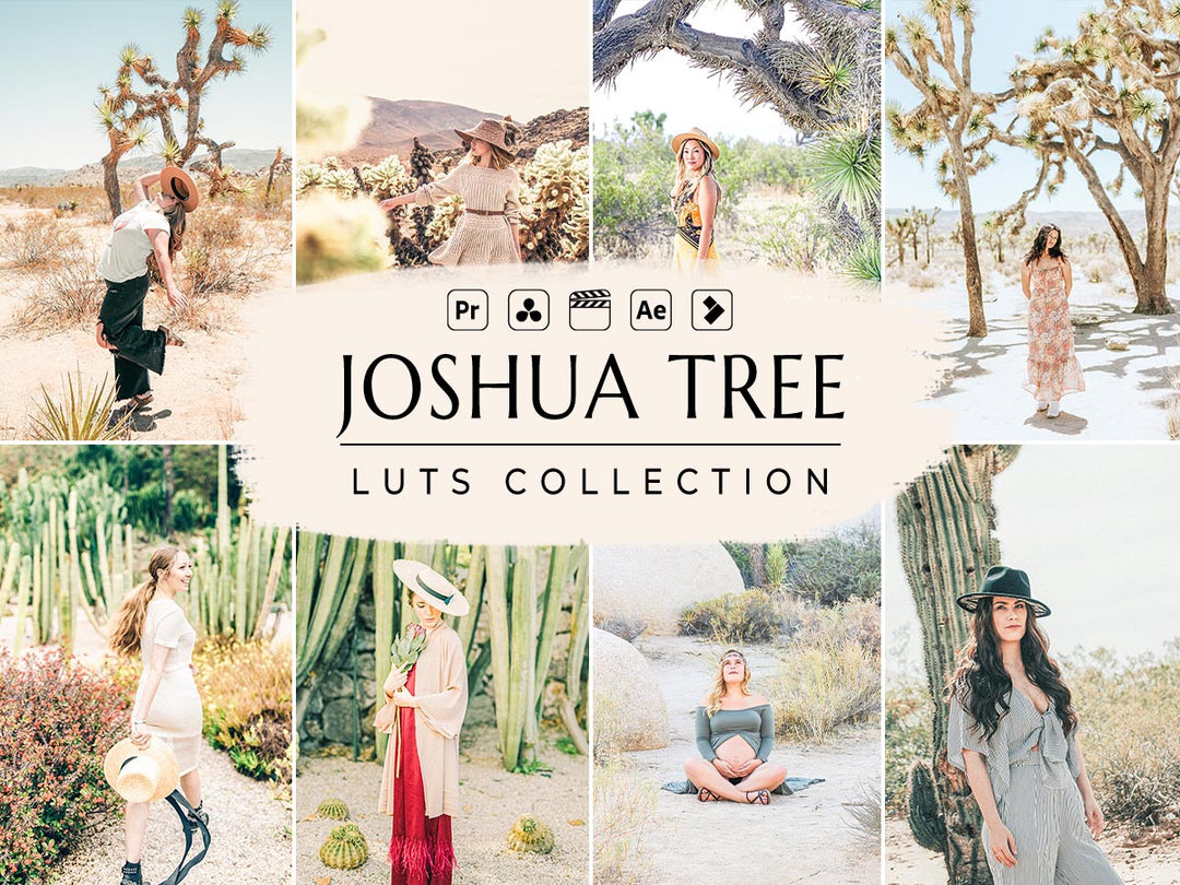 Joshua Tree Video LUTs | Pixmellow