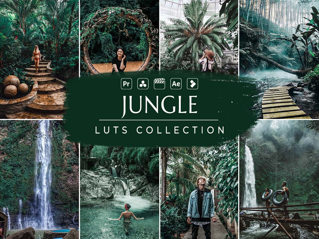 Jungle Video LUTs | Pixmellow