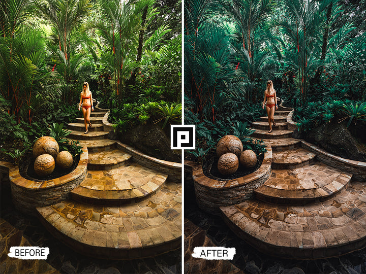 Jungle Lightroom Mobile and Desktop Presets