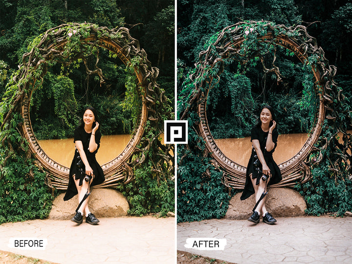 Jungle Lightroom Mobile and Desktop Presets