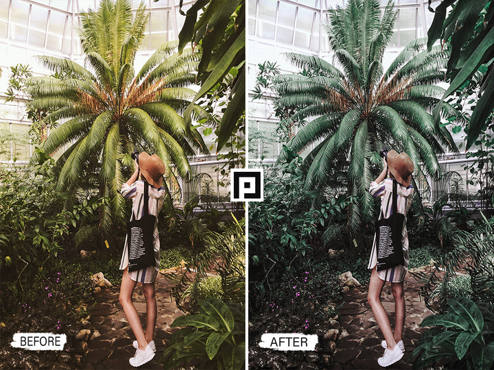 Jungle Lightroom Mobile and Desktop Presets