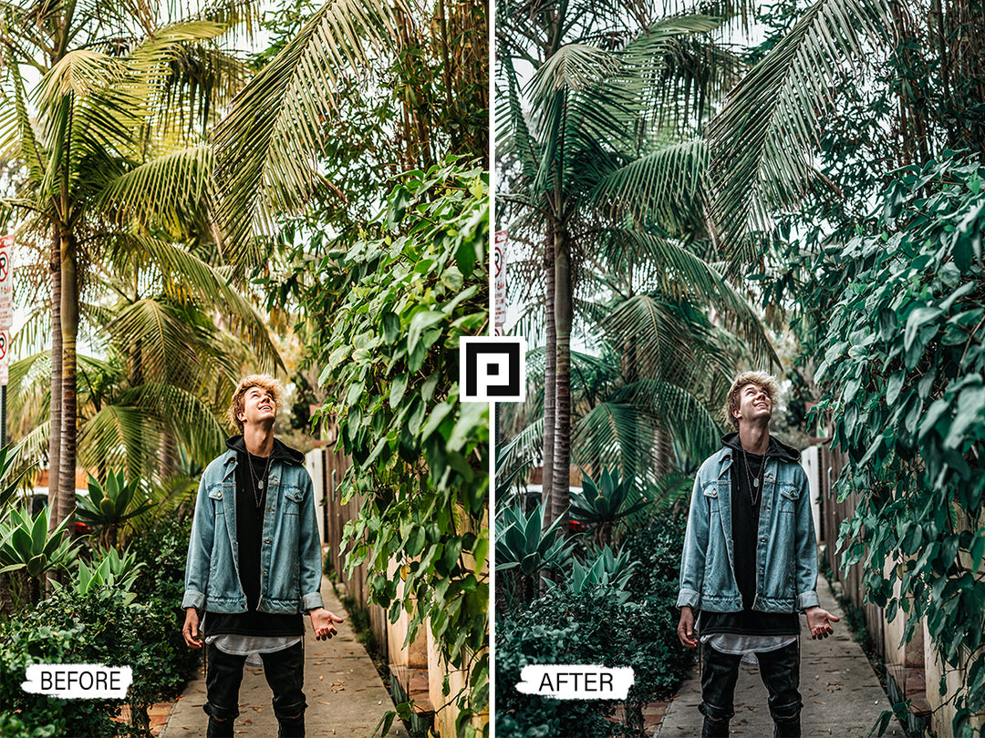 Jungle Lightroom Mobile and Desktop Presets