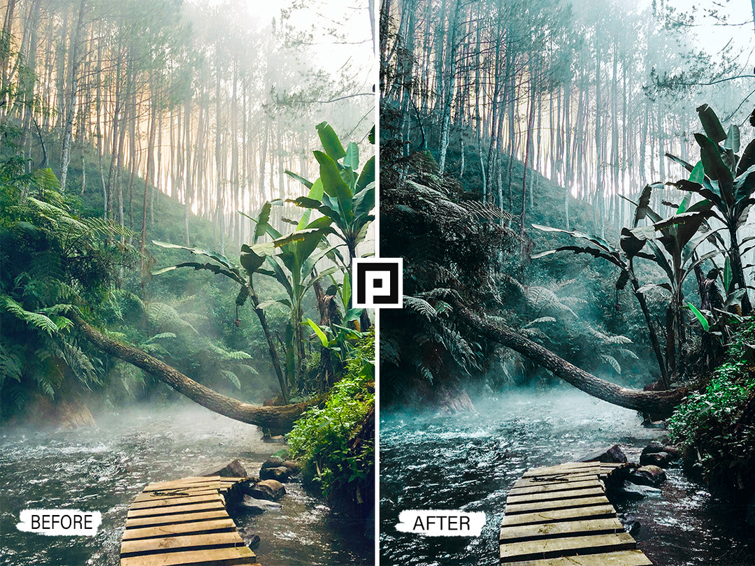 Jungle Lightroom Mobile and Desktop Presets