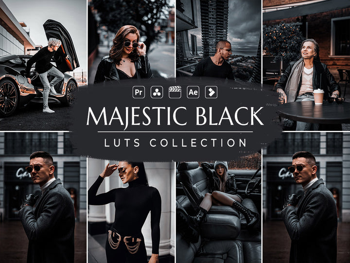 Majestic Black Video LUTs for Final Cut Pro, Premiere pro and Davinci Resolve