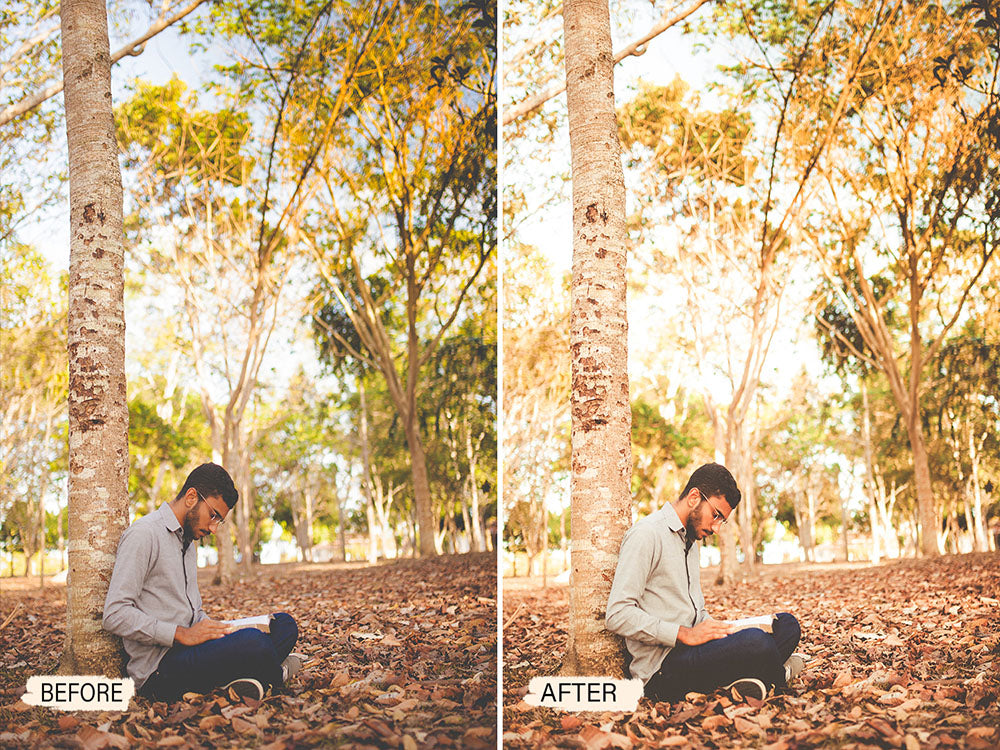 Moody Fall Lightroom Mobile Presets | Pixmellow