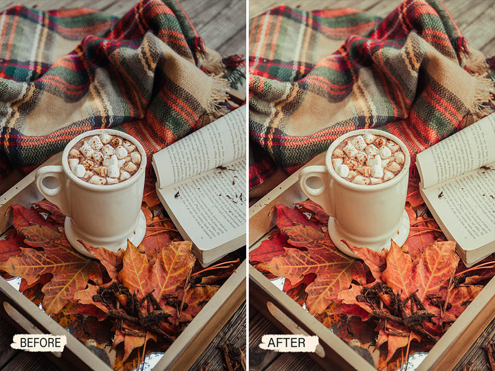 Moody Fall Lightroom Mobile Presets | Pixmellow