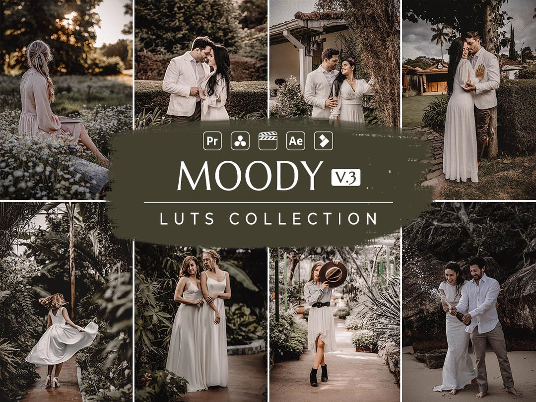 Moody  Video LUTs Vol. 03 | Pixmellow