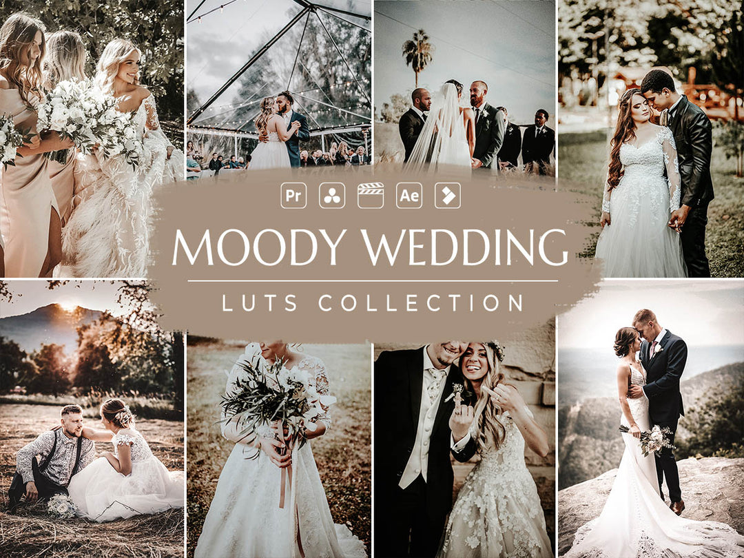 Moody Wedding Video LUTs | Pixmellow