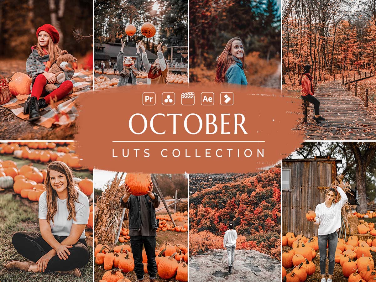 October Video LUTs | Halloween LUTs | Autumn LUTs | Instagram LUTs ...