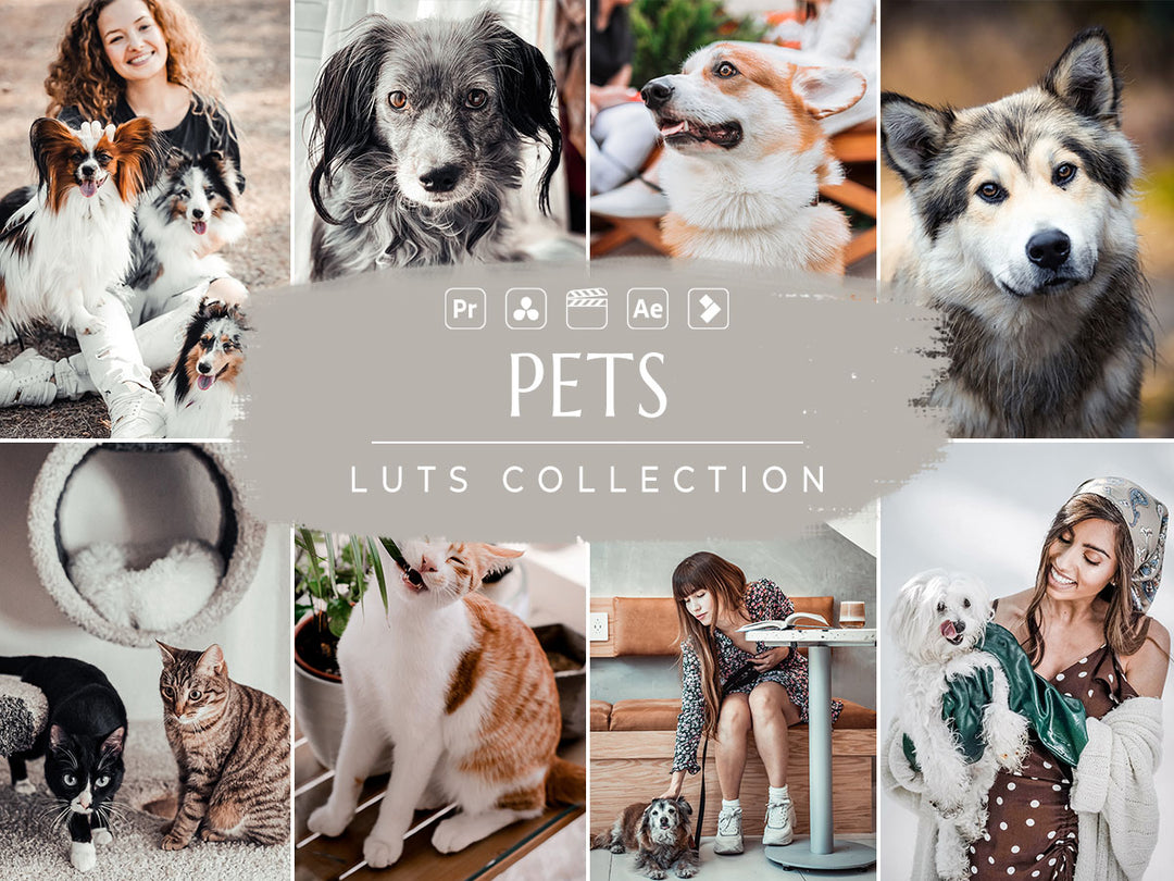 Pets Video LUTs | Pixmellow