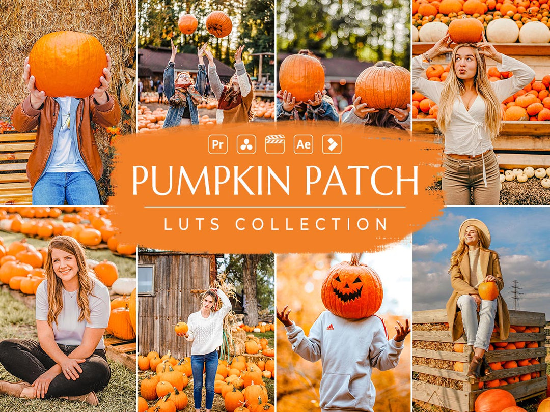 Pumpkin Patch Video LUTs | Pixmellow