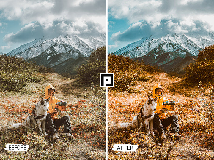 Travel Lightroom Mobile and Desktop Presets