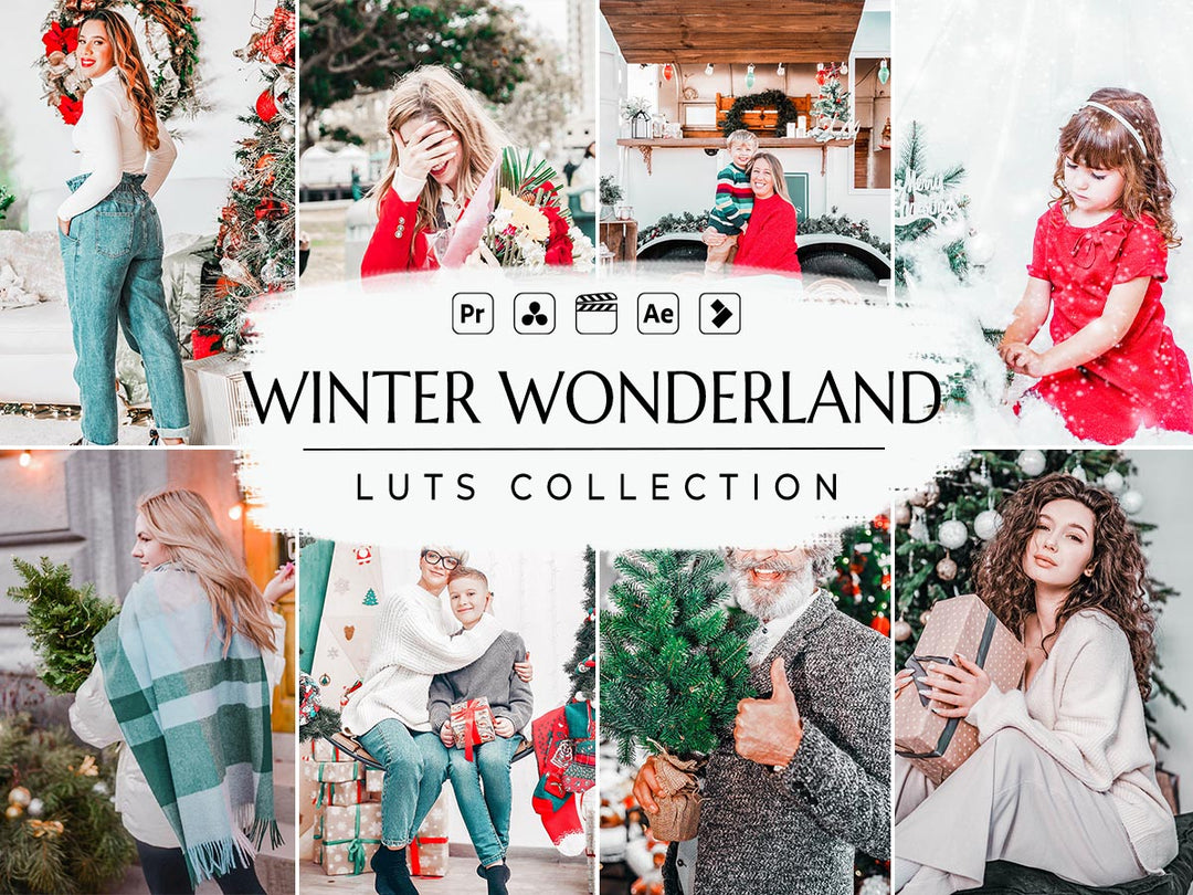 Winter Wonderland  Video LUTs | Pixmellow
