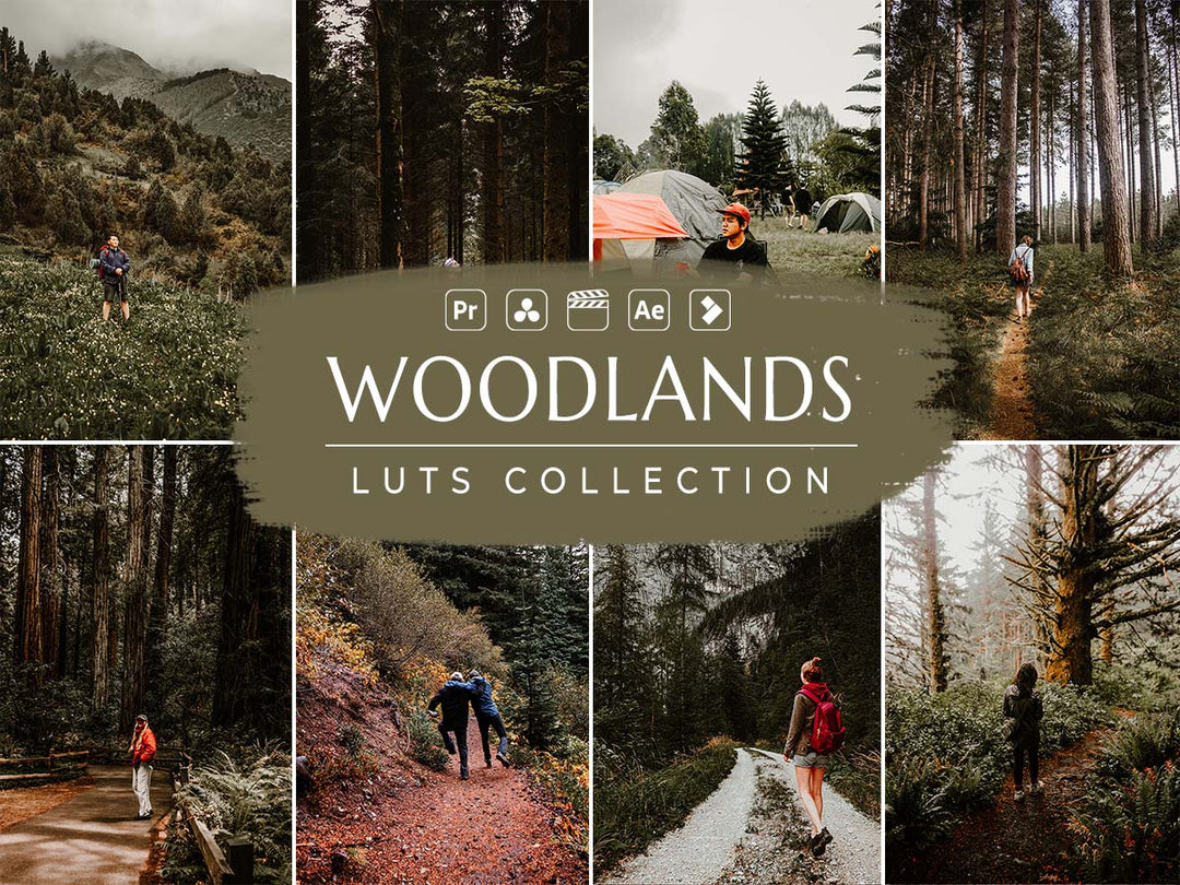 Woodlands Video LUTs | Pixmellow