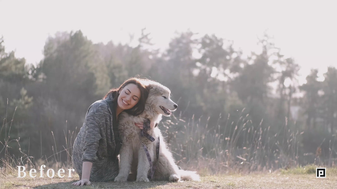 Rustic Dog Video LUTs | Pixmellow