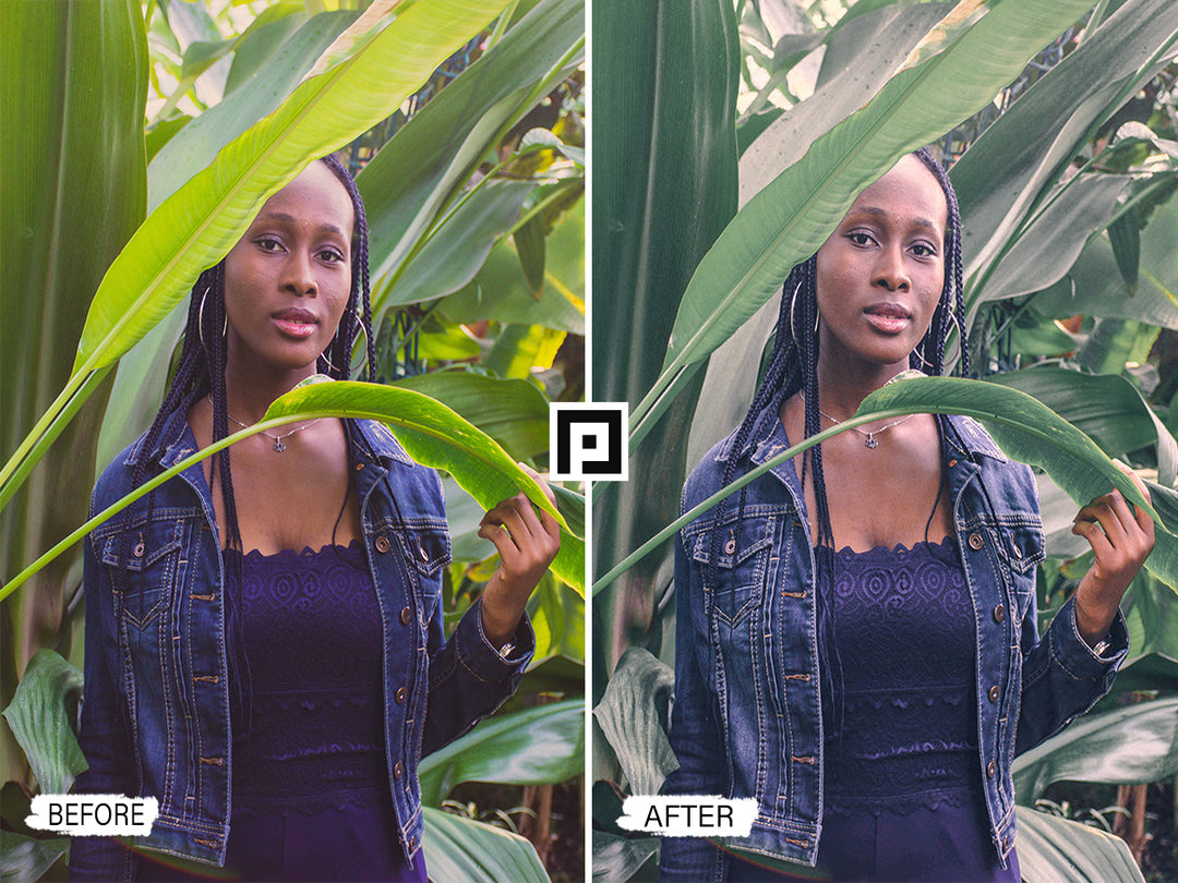 AVOCADO Video LUTs | Pixmellow