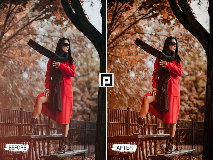 Autumn Lightroom Mobile and Desktop Presets