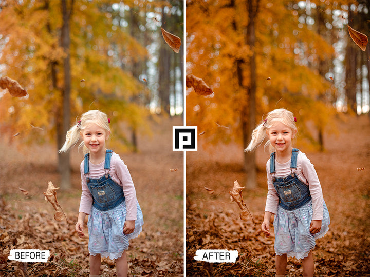 Autumn Lightroom Mobile and Desktop Presets