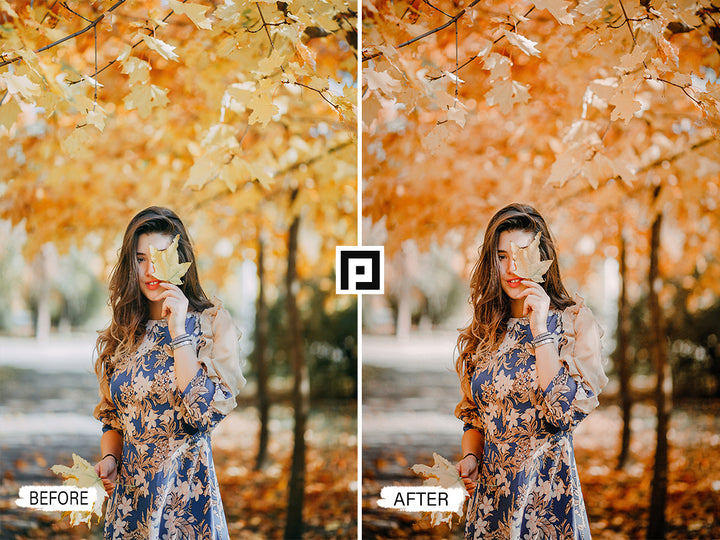 Autumn Video LUTs ''Adventure Lightroom Presets'' ''lightroom Mobile presets'' ''lightroom'' ''adobe lightroom'' ''lightroom presets'' ''presets'' ''free lightroom presets'' ''lightroom presets free'' ''presets for lightroom'' ''free presets'' ''best lightroom presets'' ''free lightroom mobile presets'' ''Free Desktop Lightroom Presets'' ''photo presets'' ''lightroom mobile presets'' ''best lightroom presets free'' ''lightroom presets free download''