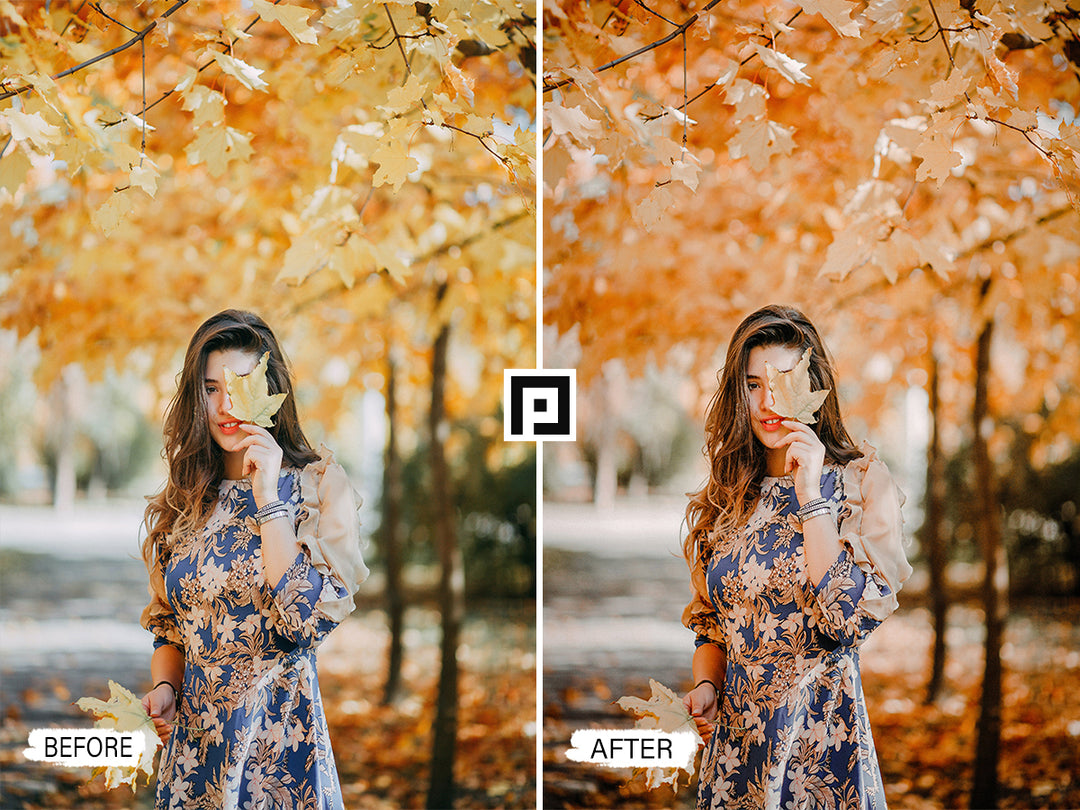 Autumn Lightroom Presets "Autumn Lightroom Mobile and Desktop Presets" ''Adventure Lightroom Presets'' ''lightroom Mobile presets'' ''lightroom'' ''adobe lightroom'' ''lightroom presets'' ''presets'' ''free lightroom presets'' ''lightroom presets free'' ''presets for lightroom'' ''free presets'' ''best lightroom presets'' ''free lightroom mobile presets'' ''Free Desktop Lightroom Presets'' ''photo presets'' ''lightroom mobile presets'' ''best lightroom presets free''