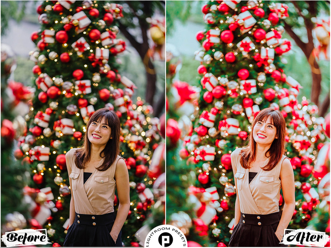 Christmas Vol. 2  Video LUTs | Pixmellow