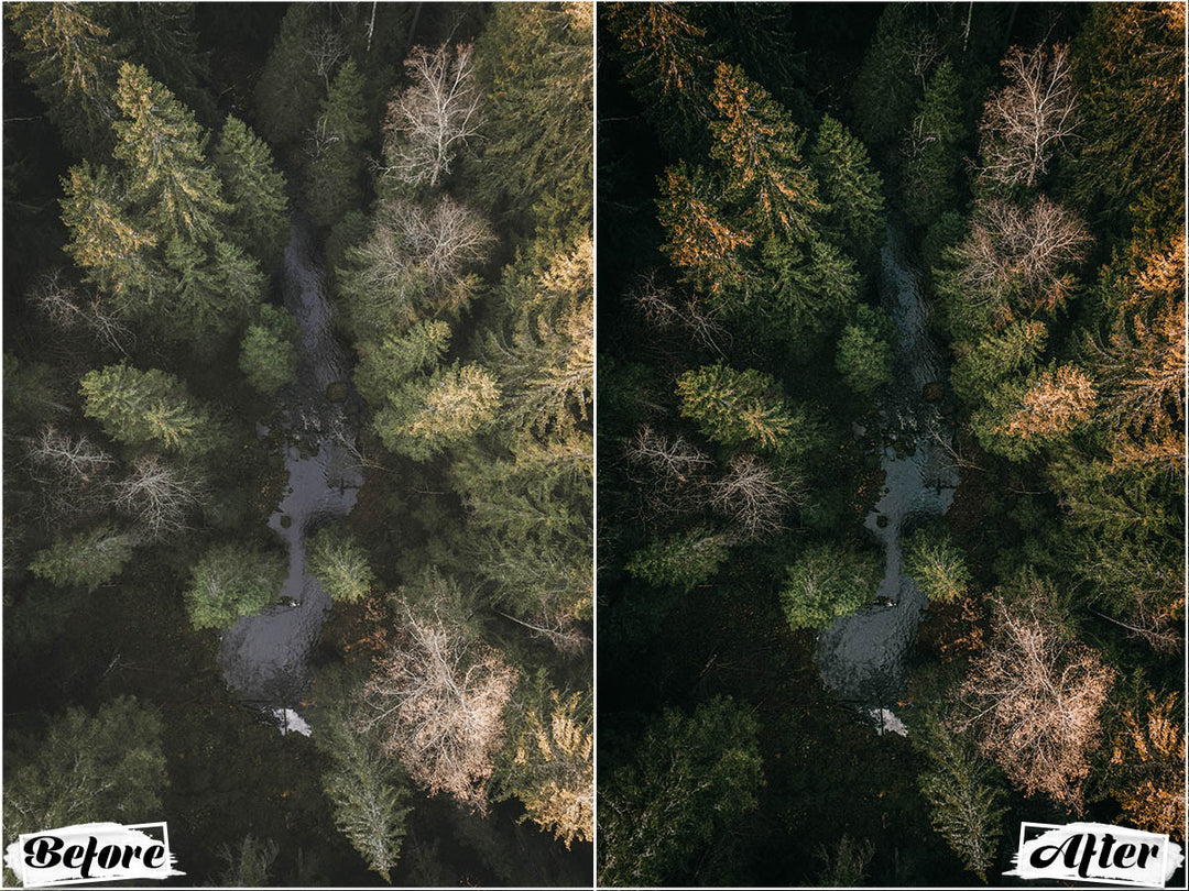 Cinematic Drone Video LUTs' 'cinematic video LUTs' 'lightroom' 'adobe lightroom' 'lightroom presets' 'presets' 'free lightroom presets' 'lightroom presets free' 'presets for lightroom' 'free presets' 'best lightroom presets' 'free lightroom mobile presets' 'Free Desktop Lightroom Presets' 'photo presets' lightroom mobile presets 'best lightroom presets free' 'lightroom presets free download' 'LR Presets' 'Wedding Photography Presets' 'Lightroom Instagram presets' 'Video LUTs'