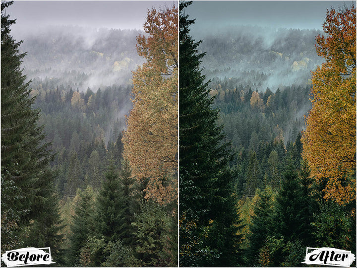 Cinematic Preset Lightroom Mobile' 'cinematic drone lightroom presets' 'lightroom' 'adobe lightroom' 'lightroom presets' 'presets' 'free lightroom presets' 'lightroom presets free' 'presets for lightroom' 'free presets' 'best lightroom presets' 'free lightroom mobile presets' 'Free Desktop Lightroom Presets' 'photo presets' lightroom mobile presets 'best lightroom presets free' 'lightroom presets free download' 'LR Presets' 'Wedding Photography Presets' 'Lightroom Instagram presets' 'Video LUTs'