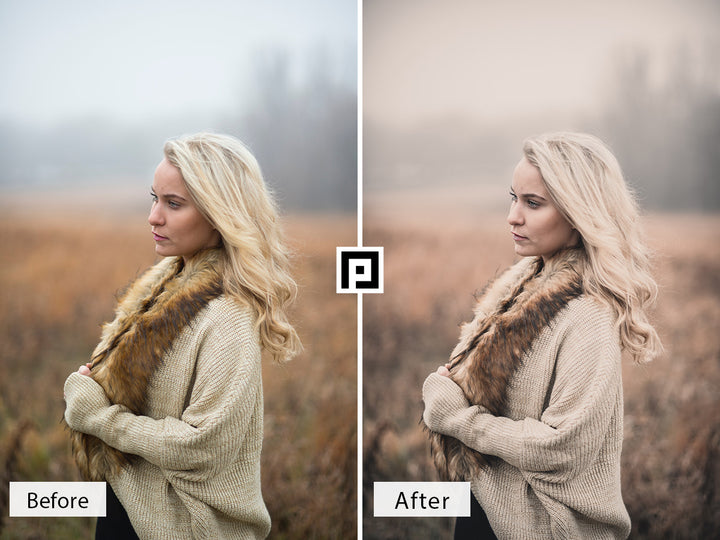 Creamy Moody Lightroom Mobile and Desktop Presets