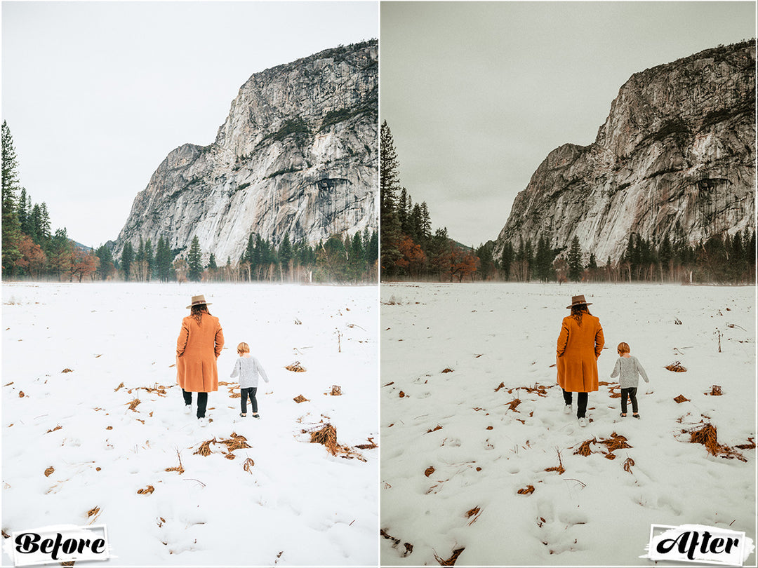 Dark Winter Lightroom Presets for Mobile and Desktop