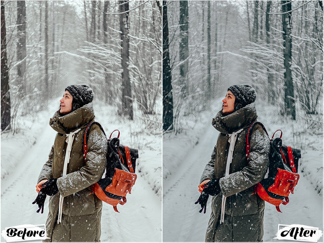 Dark Winter Lightroom Presets for Mobile and Desktop