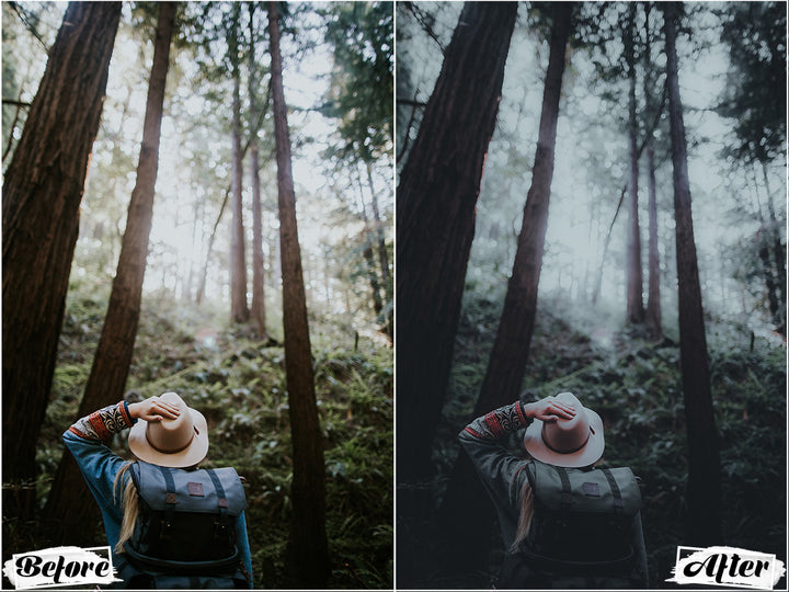 Dark Woods Lightroom Presets For Mobile and Desktop