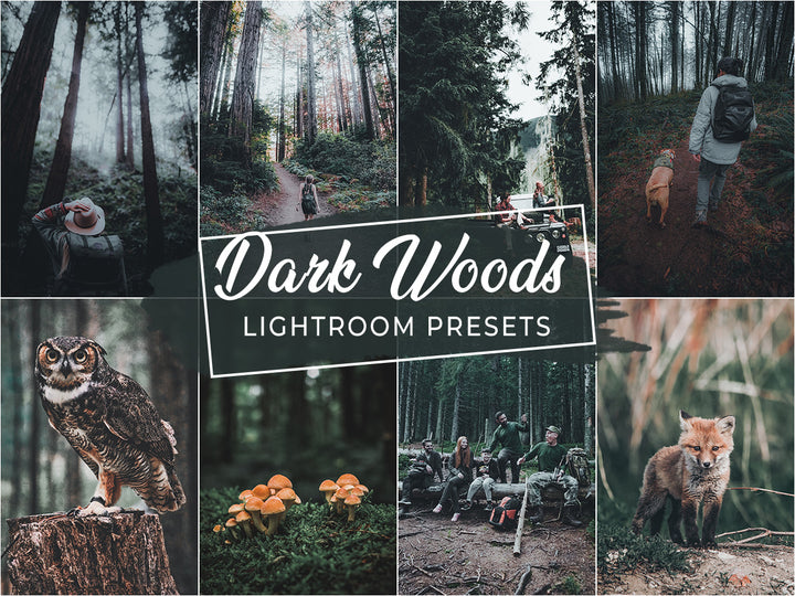 Dark Woods Lightroom Presets For Mobile and Desktop