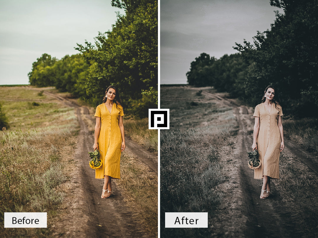 Dark and Moody Video LUTs | Pixmellow