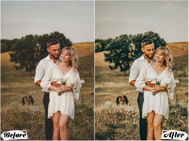 Elopement Video LUTs | Pixmellow