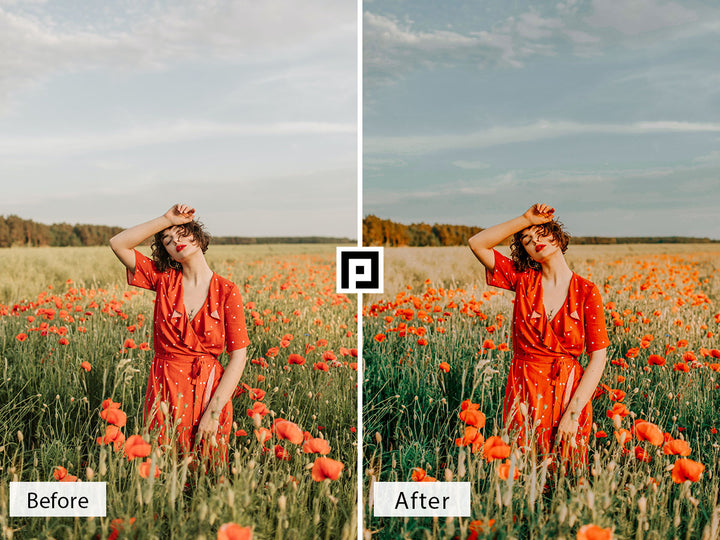 'lightroom' 'adobe lightroom' 'lightroom presets' 'presets' 'free lightroom presets' 'lightroom presets free' 'presets for lightroom' 'free presets' 'best lightroom presets' 'free lightroom mobile presets' 'Free Desktop Lightroom Presets' 'photo presets' 'lightroom mobile presets' 'best lightroom presets free' 'lightroom presets free download' 'LR Presets' 'Wedding Photography Presets' 'Lightroom Instagram presets' 'Video LUTs' 'free Video LUTs for Premiere Pro'