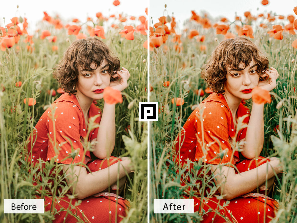 'lightroom' 'adobe lightroom' 'lightroom presets' 'presets' 'free lightroom presets' 'lightroom presets free' 'presets for lightroom' 'free presets' 'best lightroom presets' 'free lightroom mobile presets' 'Free Desktop Lightroom Presets' 'photo presets' 'lightroom mobile presets' 'best lightroom presets free' 'lightroom presets free download' 'LR Presets' 'Wedding Photography Presets' 'Lightroom Instagram presets' 'Video LUTs' 'free Video LUTs for Premiere Pro'