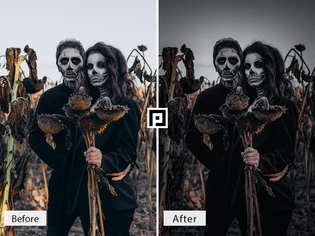 Halloween Vol. 2 Lightroom Presets For Mobile and Desktop