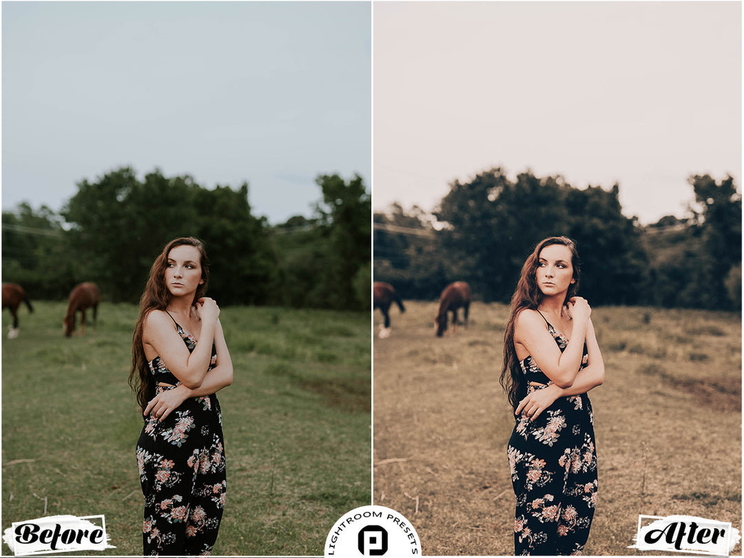 Harvest Lightroom Presets for Mobile & Desktop