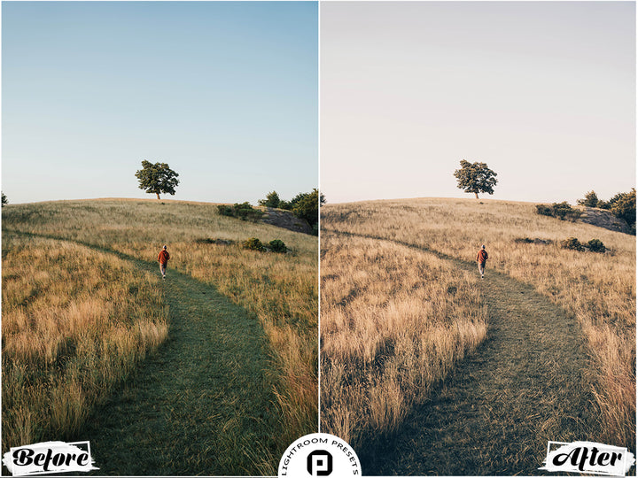 Harvest Lightroom Presets for Mobile & Desktop