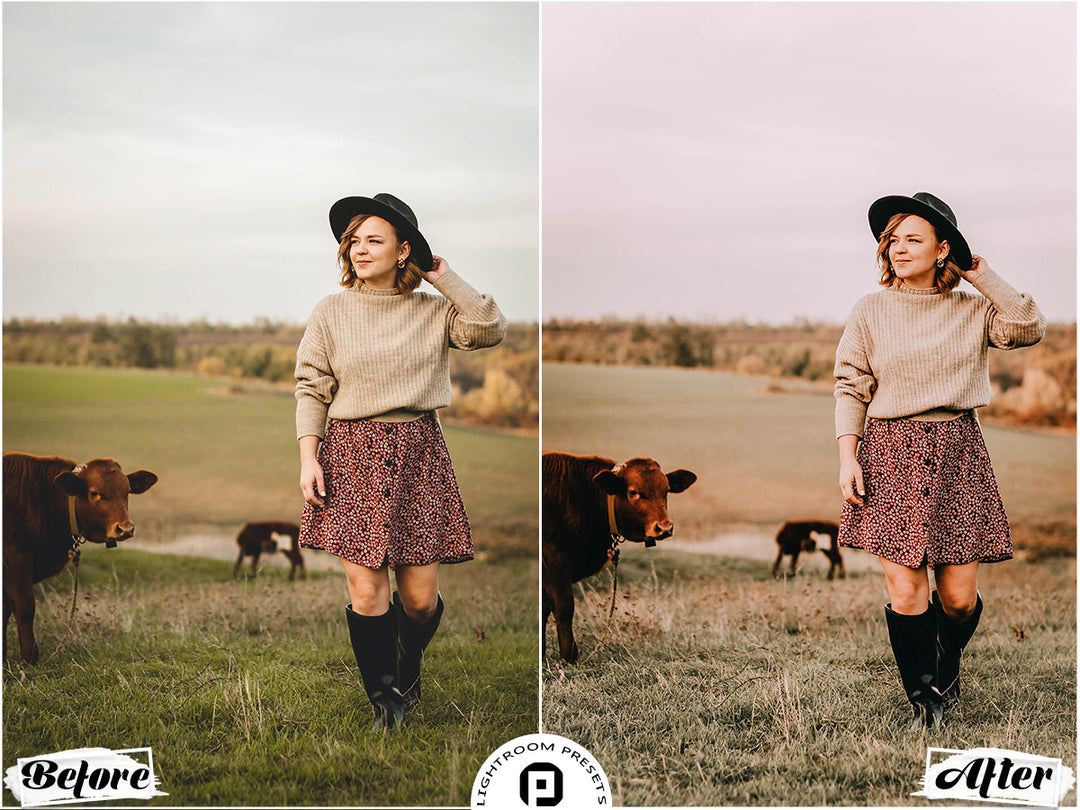 Harvest Lightroom Presets for Mobile & Desktop