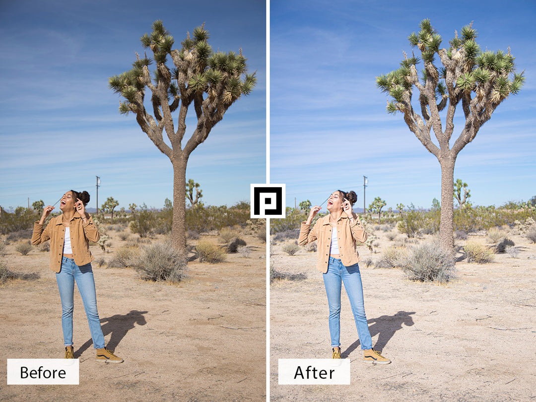 Joshua Tree Lightroom Mobile and Desktop Presets