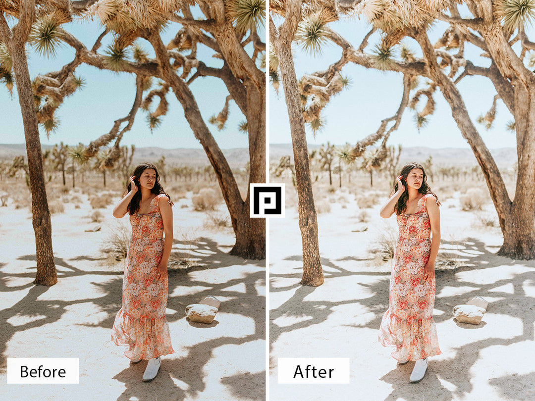 Joshua Tree Lightroom Mobile and Desktop Presets