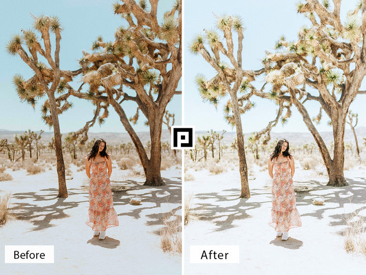 Joshua Tree Lightroom Mobile and Desktop Presets