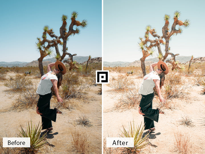 Joshua Tree Lightroom Mobile and Desktop Presets